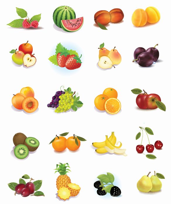 free vector Set of Fruits Vector Graphics
